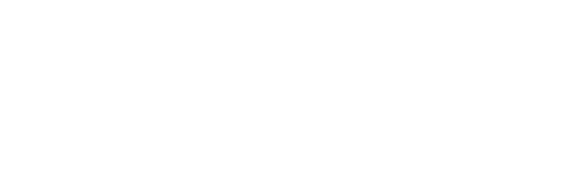 Origin Group Logo White